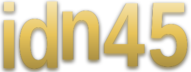 idn45 logo